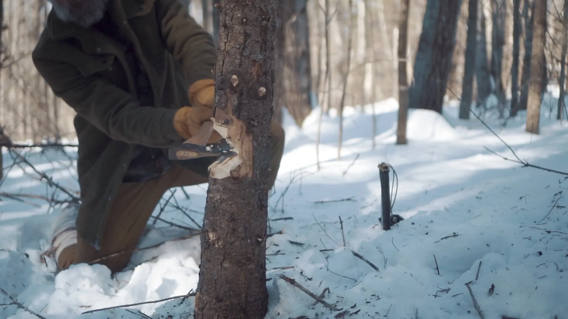 Into the Winter: Winter Survival Film with Joshua Enyart – Essential Skills for Cold Weather Adventures (Streaming, USB, and DVD)
