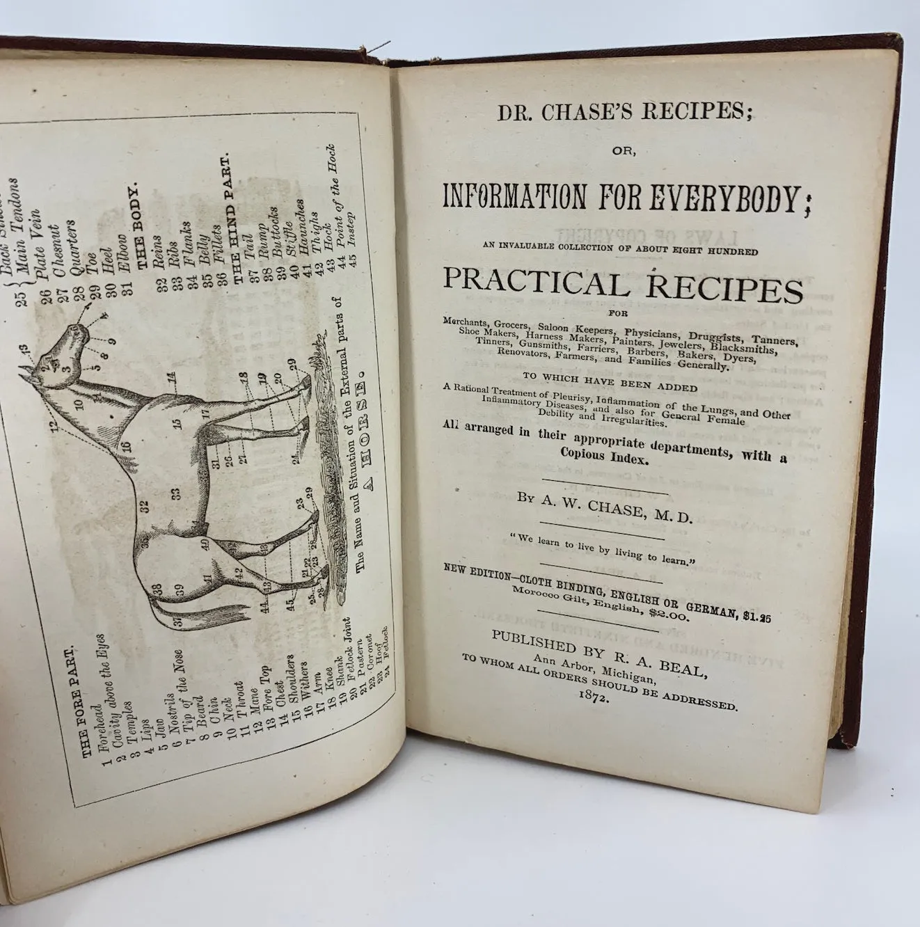 OP: Dr. Chase's Recipes; or, Information for Everybody